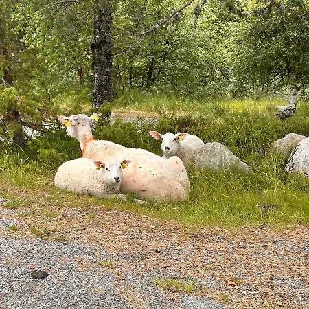 Сasa de vacaciones Nature Stryn